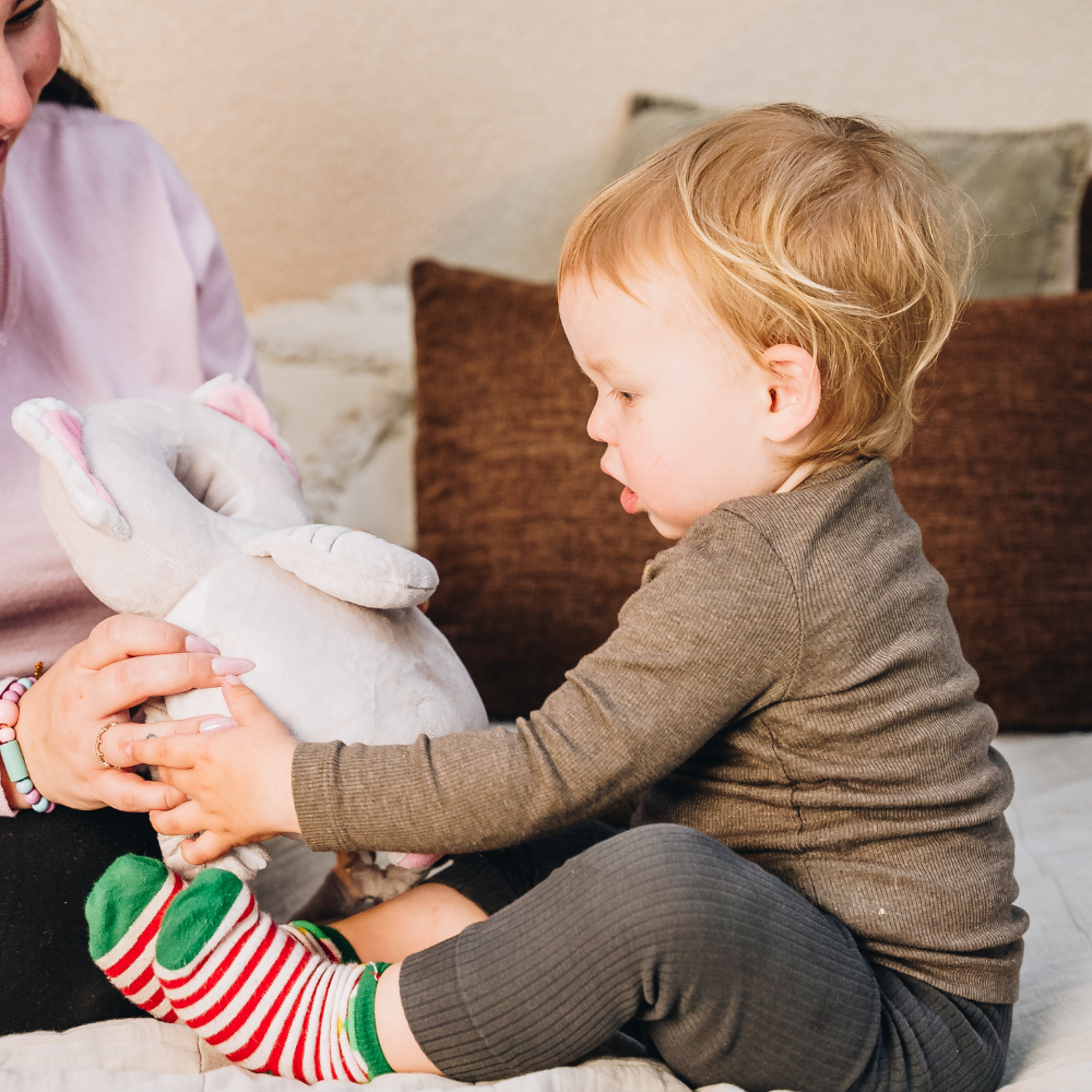 BumpBuddy ComfortCushion™